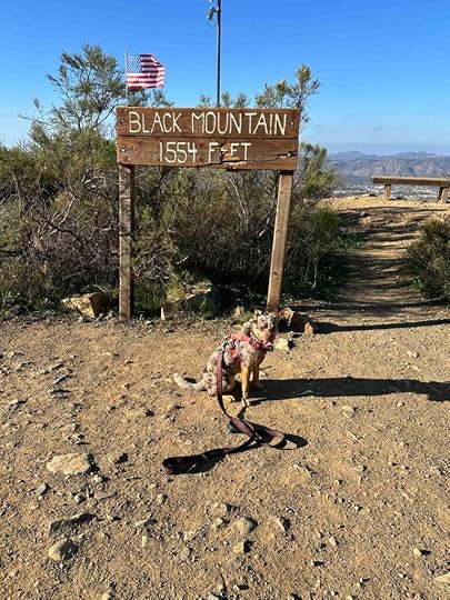 summit of Black Mountain Nighthawk Trail