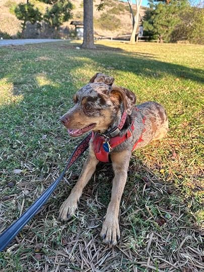 resting at Hilltop Community Park
