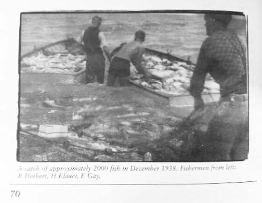 Five surprising facts about coastal erosion, fish, reefs and a better future