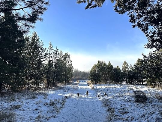Dogswalkingshowtrailbluesky
