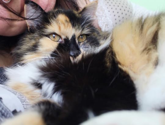 Layla and her beloved cat/reading buddy. Photo Credit: © Layla Fallah
