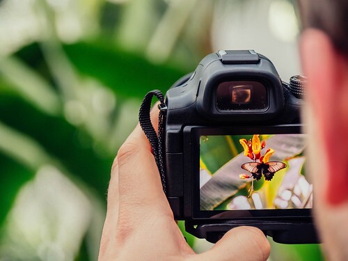 Exploring the World Through the Lens: Choosing the Right Type of Photography for You
