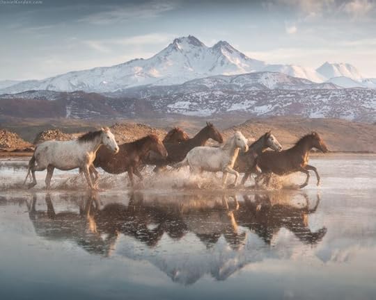 12400923-c7f0-4ad4-8eda-6743433f6421-jpeg