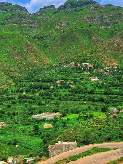 55f8c45f-659b-426d-a139-3f8c885129dc-jpeg