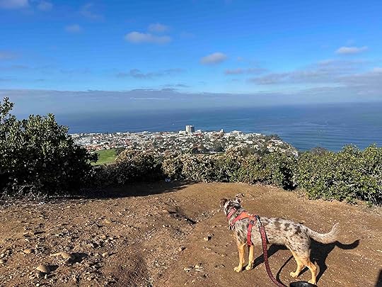 the view at La Jolla Natural Park