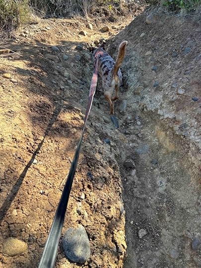 La Jolla Natural Park trail