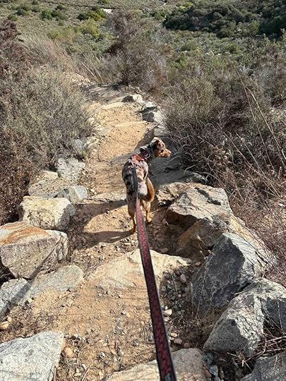 big decline at Manchester Preserve