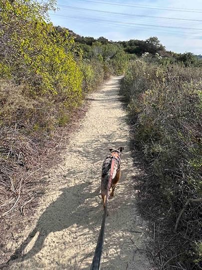 on the trail at Manchester Preserve