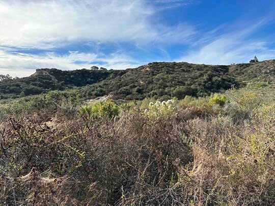 views at Manchester Preserve