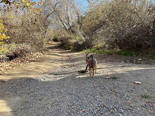 start of Los Penasquitos Canyon trail
