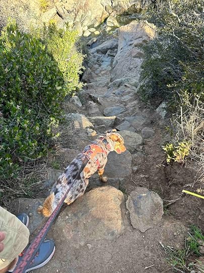 Los Penasquitos Canyon Trail steps to the water