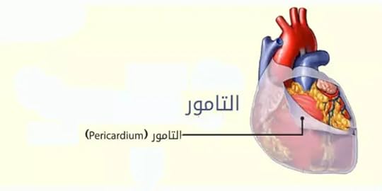 7d644a088d29b075172e620a0d99af26-png