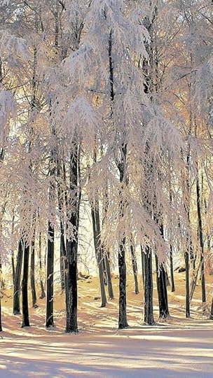 e7a3ccd12c434bdbab1ffd7df1672b92