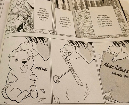 Bits and bobs found on the balcony