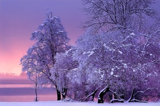 purple1