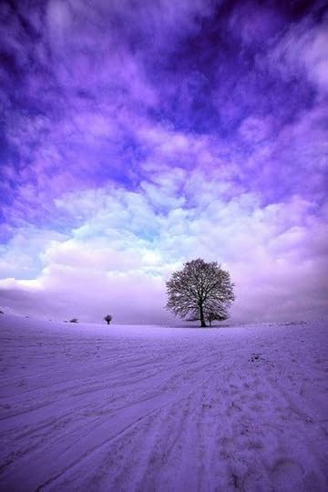purple2