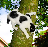 Look out below!
