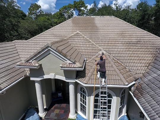 Impact of a Clean Roof
