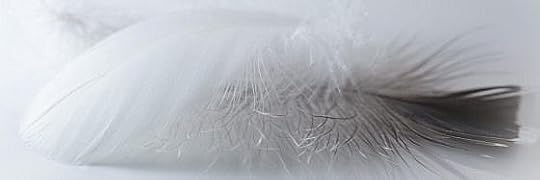 Recensione di Una piuma nascosta di Lisa Ginzburg