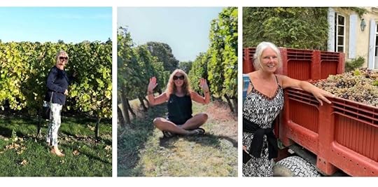 Housesitting. The backpacking Housewife at the vineyards