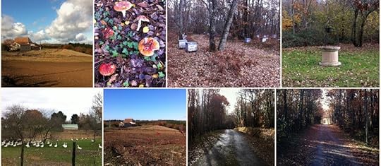 Autumn in France. The Backpacking Housewife