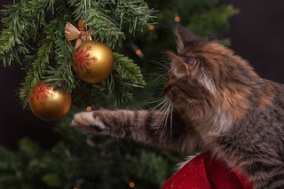 Oh! Christmas Break!