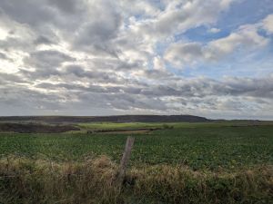 picture of the south downs dappled with sunlight and shade