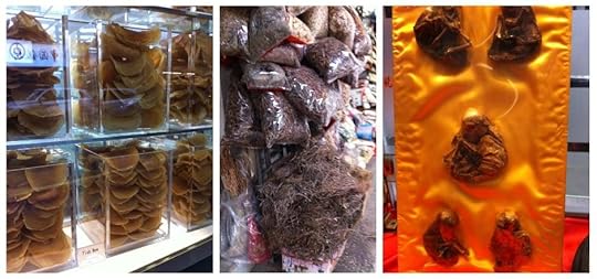 Chinese medicine shops in Hong Kong. The Backpacking Housewife