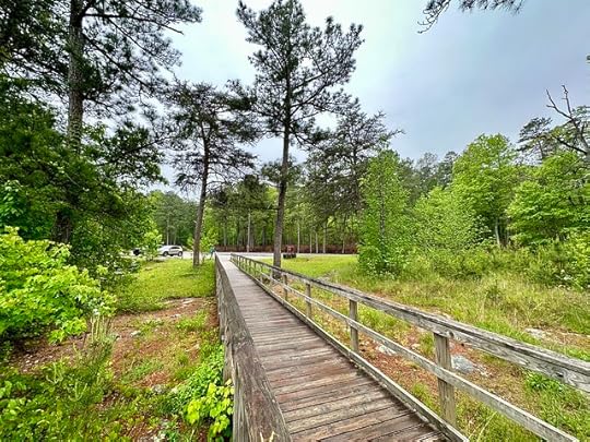 Alabama, USA 2023 25