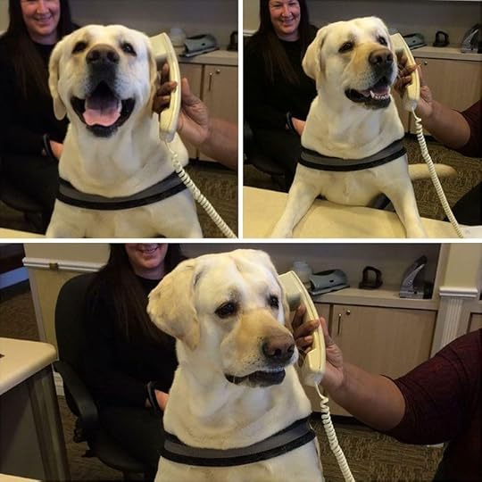 don't like hearing that