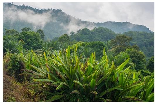 The North Borneo Railway would take us through the heart of Borneo. 