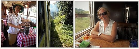 We passed through towns, and tunnels, and jungles!