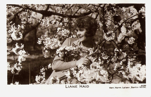 Liane Haid