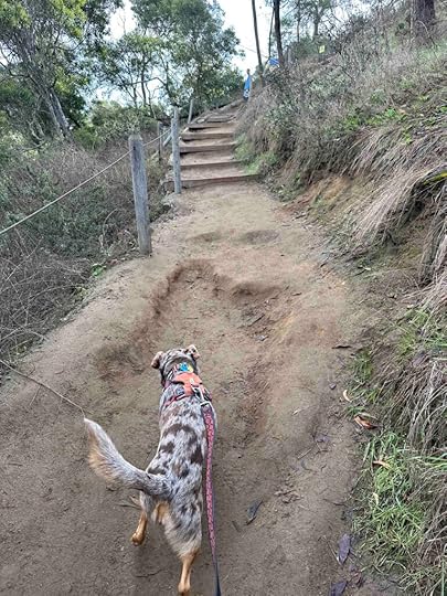 switchback route at Annie's Canyon Trail