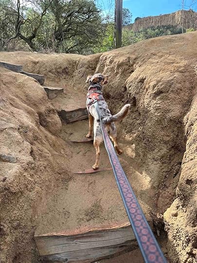 steep steps on the switchback route
