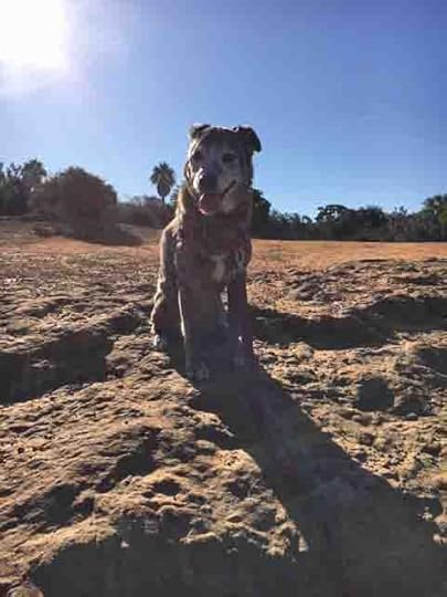 Karlie at Crest Canyon