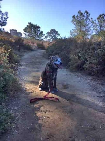 Karlie at Crest Canyon