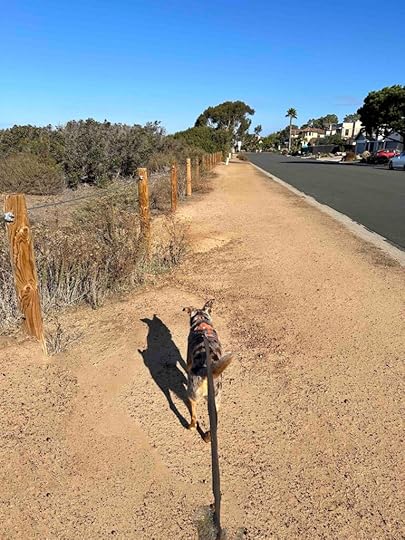 trail to the entrance