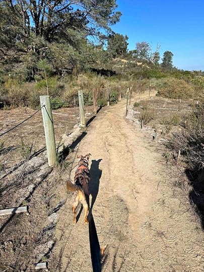 the trail at Crest Canyon