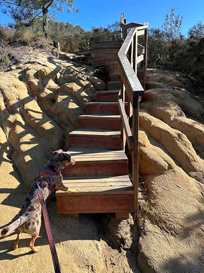 stairs back to the street at Crest Canyon