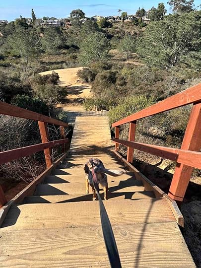 steep stairs into the canyon