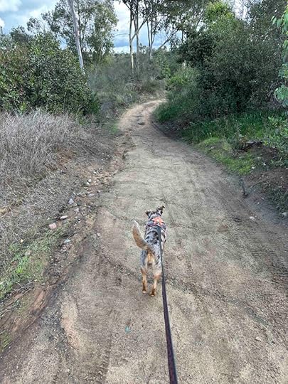 San Dieguito County Park trail