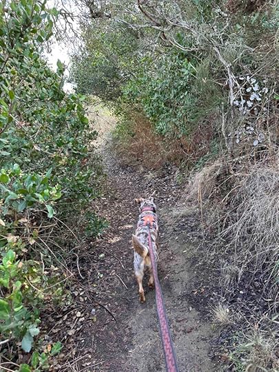 San Dieguito County Park trail