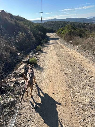 on the dirt road at Goodan Ranch Preserve