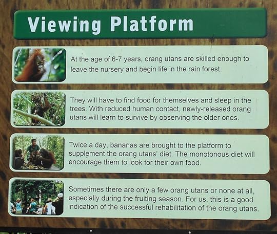 Orangutans viewing platform sign