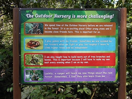 Orangutans in the outdoor nursery sign