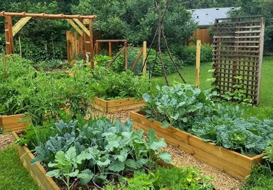 Raised bed vegetable garden with lush green summer growth.