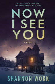 Now I See You Shannon Work Author