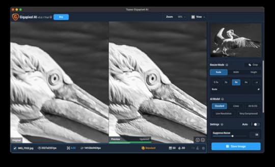 Topaz Gigapixel AI editor foto