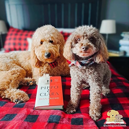 A lying Golden Doodle and a sitting Miniature Poodle are on a bed with a hardcover book in front of the Doodle. The book is Pippo & Clara by Diana Rosie.